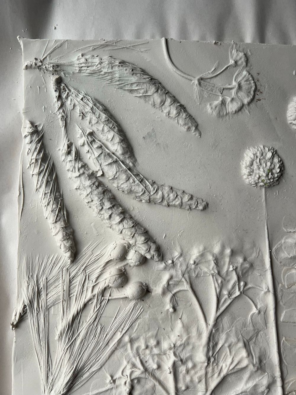 Detailed decorative relief formed in white plaster