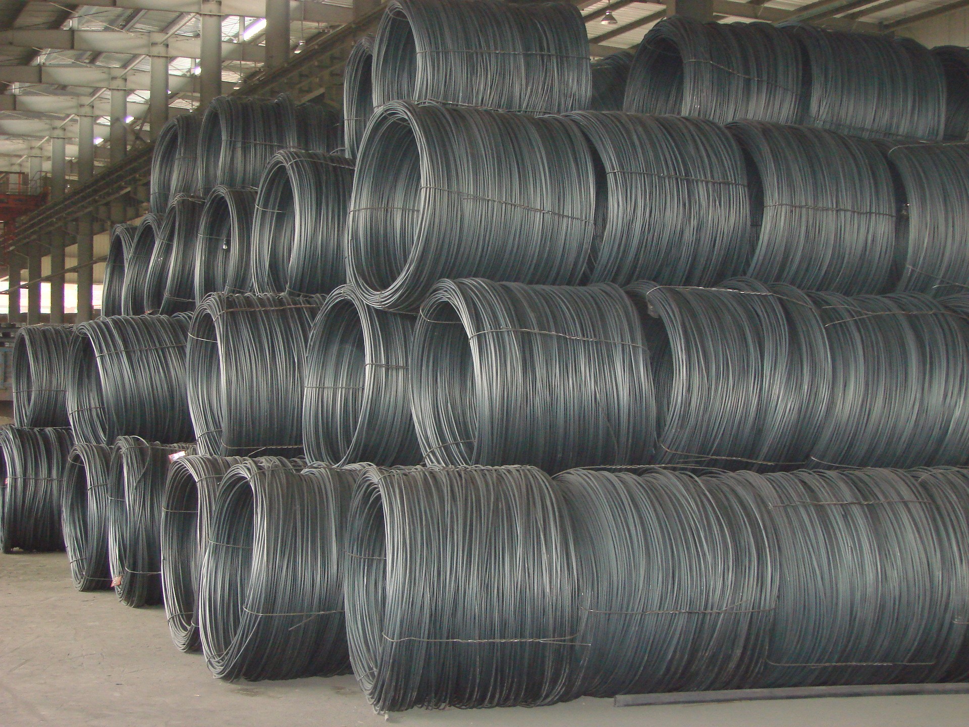 Coils of steel wire rod